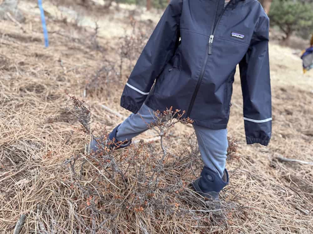 Child in Patagonia jacket walking through dry brush outdoors