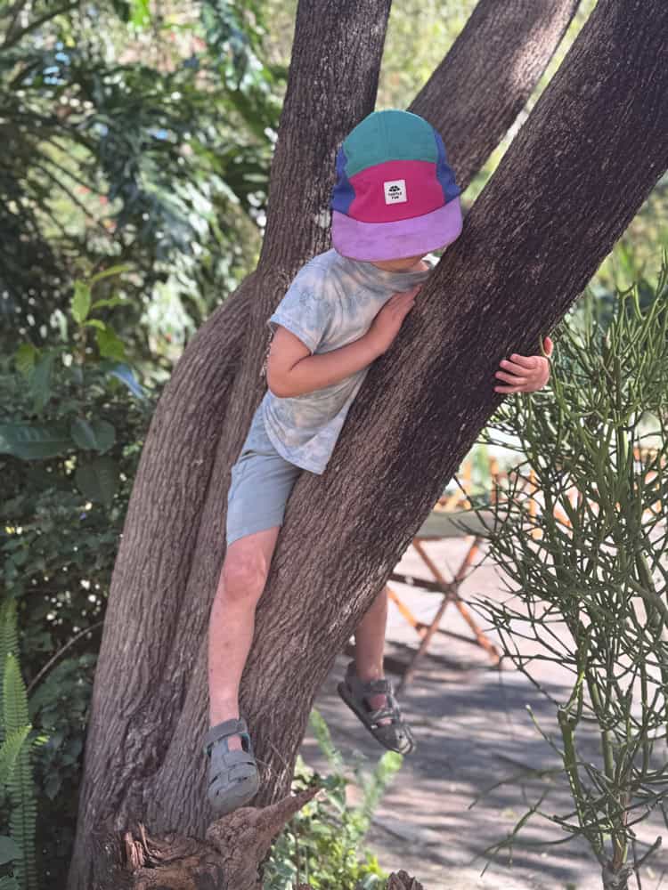 Young child climbing a tree trunk outdoors
