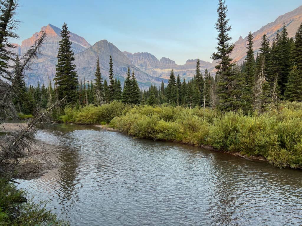 Scenic mountain river flowing through pine forest wilderness
