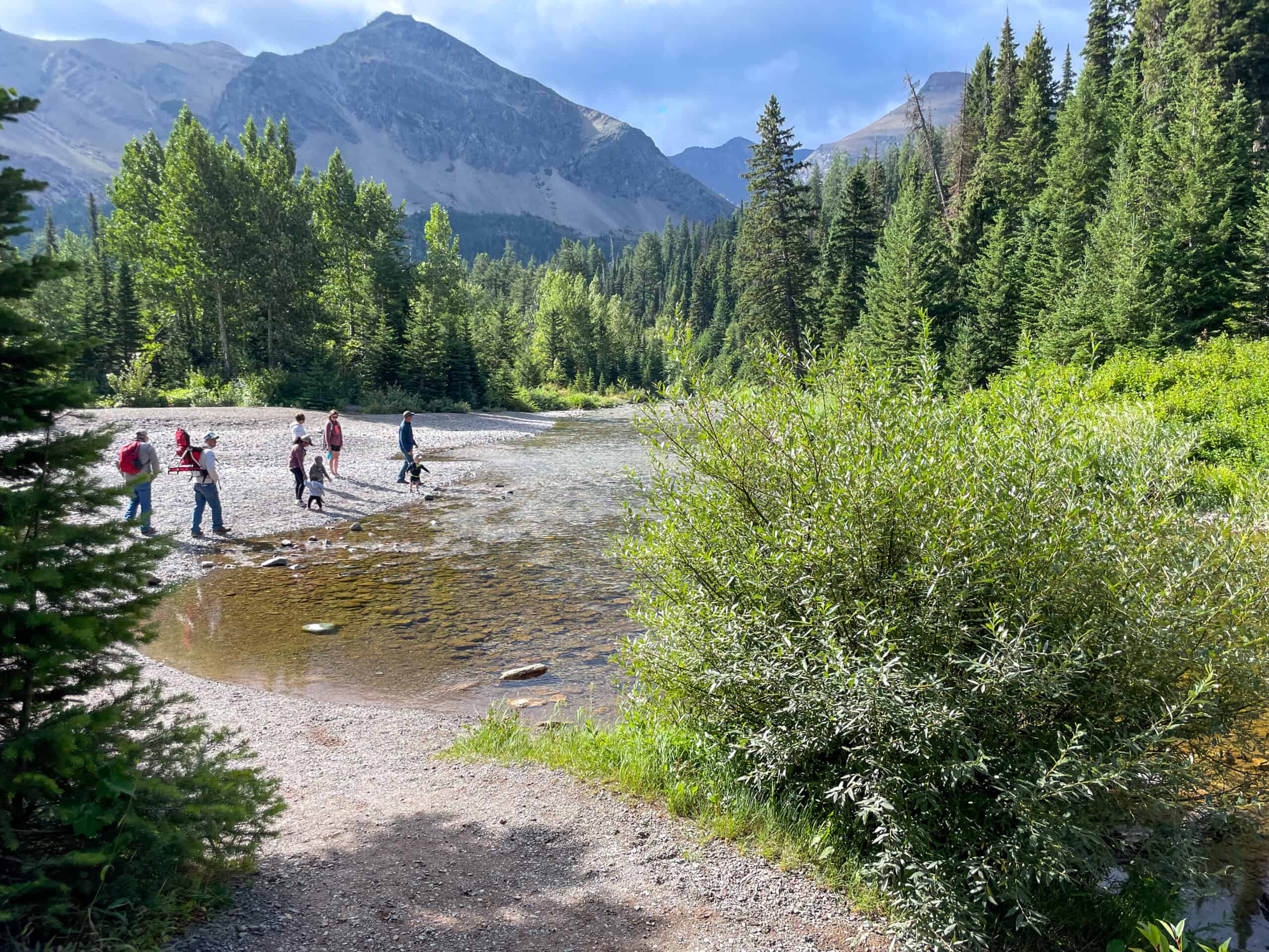 Hikers exploring a mountain stream surrounded by forest and peaks