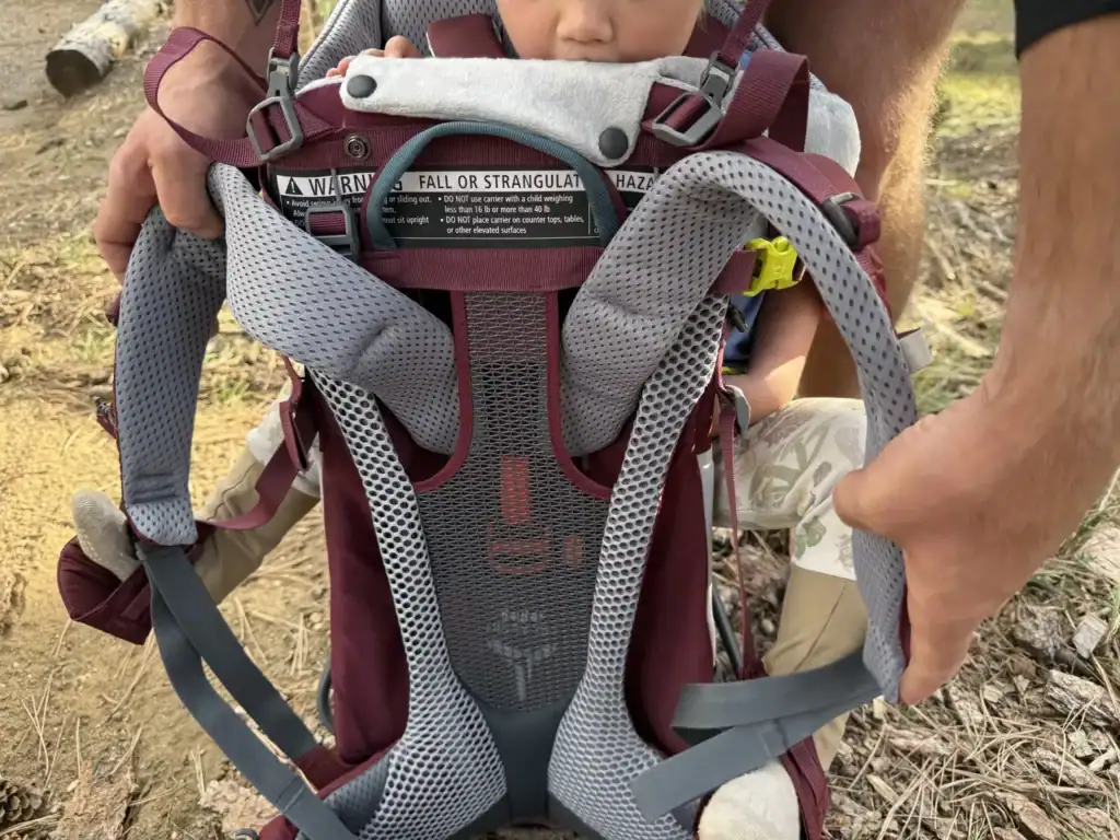 Ventilated mesh back panel and shoulder straps of the Deuter Kid Comfort child carrier