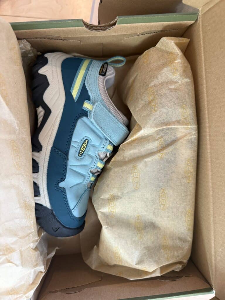 New KEEN Targhee IV Low Waterproof kids shoe in its box in Reef Waters and Daiquiri Green