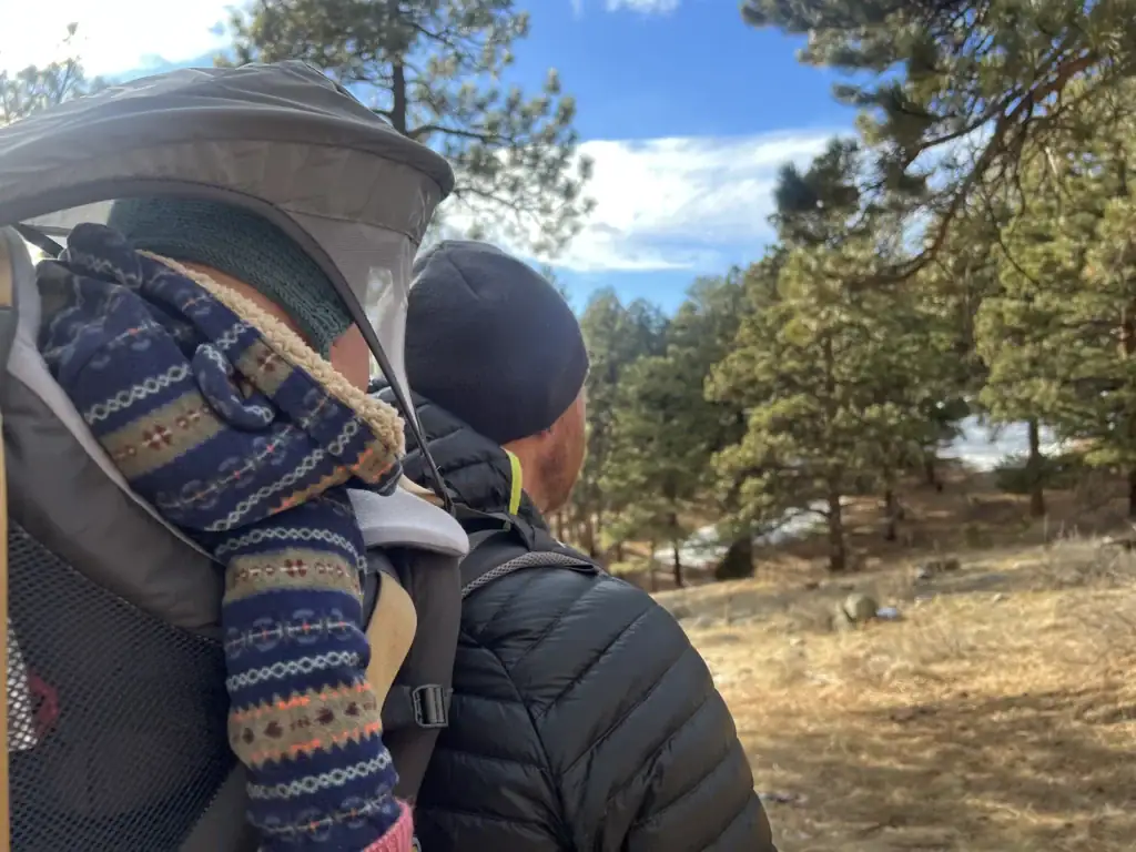 Adult and toddler looking out over pine trees with the Kelty Journey PerfectFIT Elite child carrier