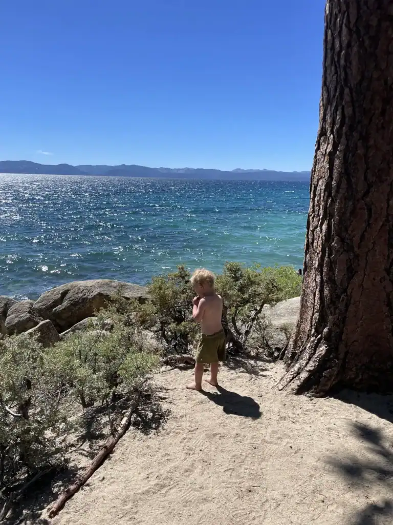 A toddler stands on a rocky granite point beside a big pine tree above bright blue Lake Tahoe.