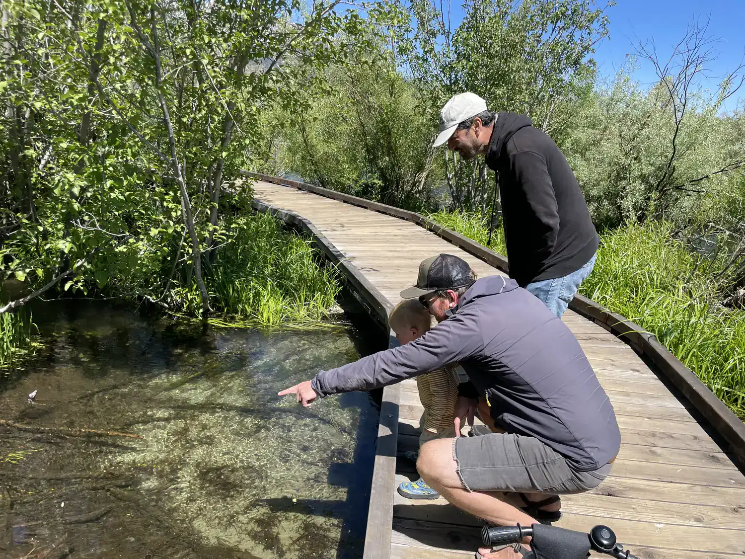 Adults and a toddler crouch on a wooden boardwalk pointing at clear creek water on the Lake of the Sky Trail at Taylor Creek, Lake Tahoe.