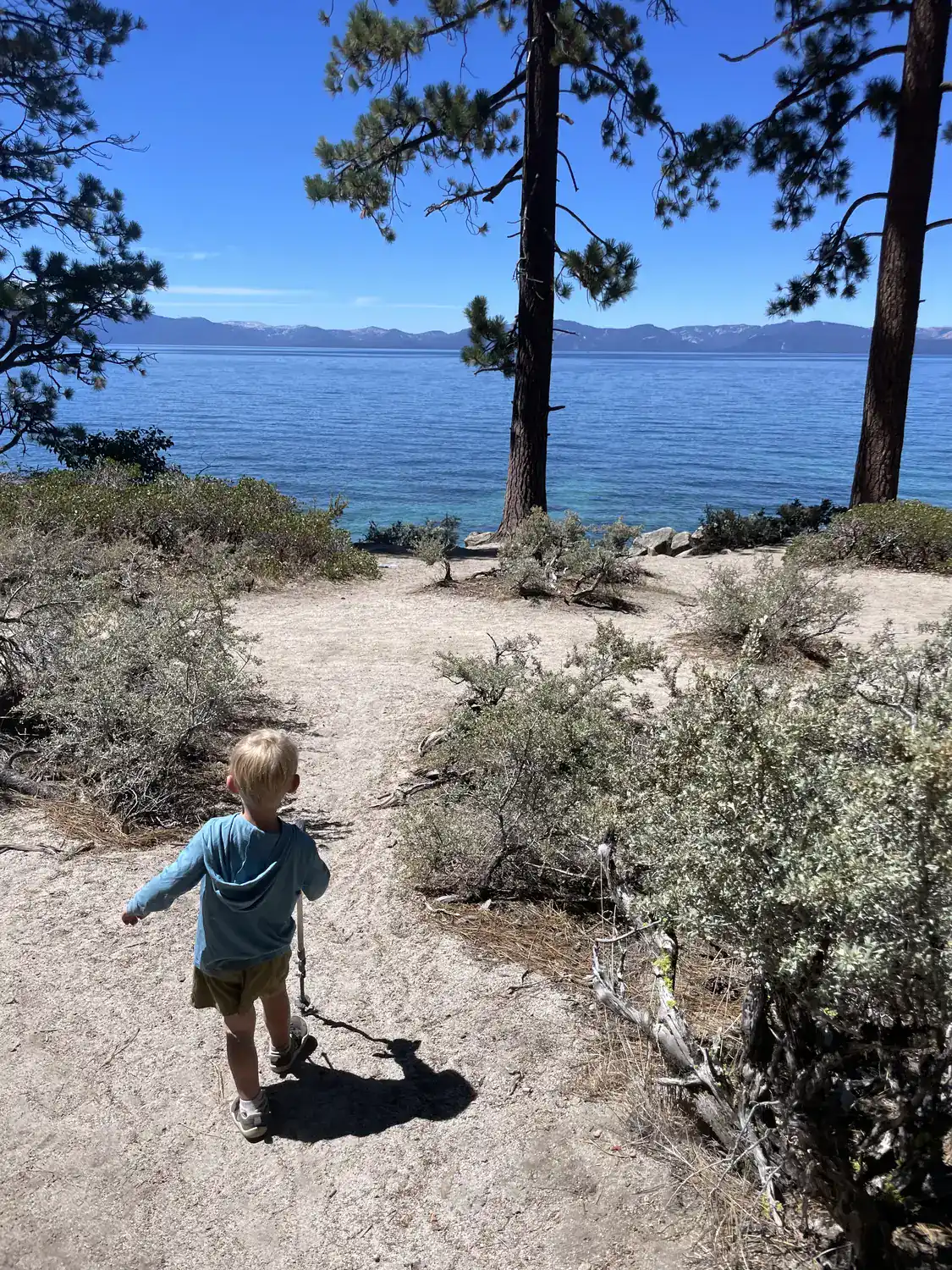 A toddler walks a sandy trail lined with sagebrush and pines toward bright blue Lake Tahoe on the East Shore.