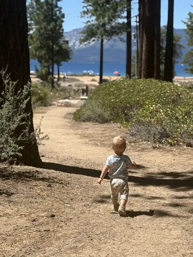 A toddler walks away from the camera down a dirt trail through pines toward a Lake Tahoe beach.