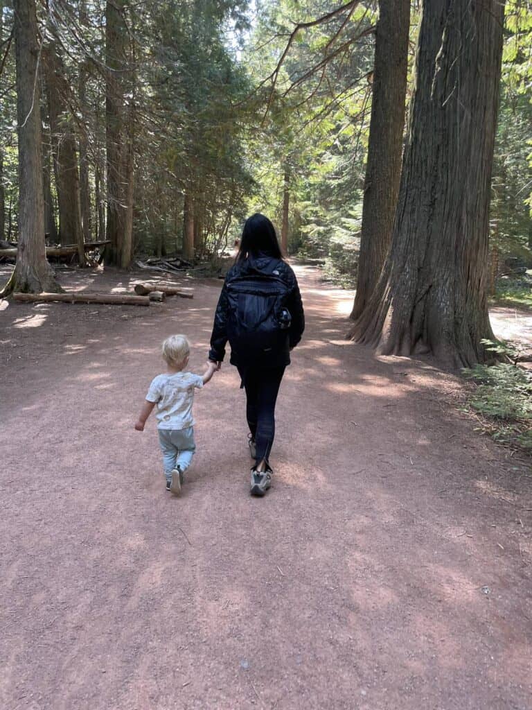 A woman and a toddler walking hand in hand along a forest trail among tall cedar trees