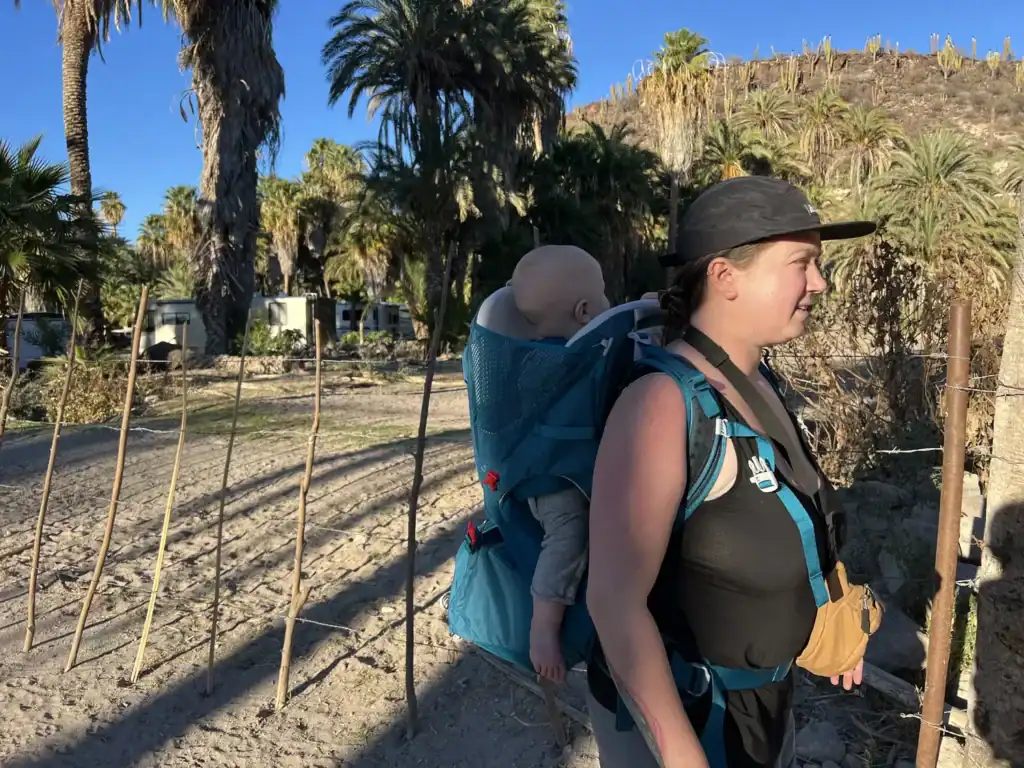 Adult carrying a baby in the Osprey Poco SLT child carrier among palm trees in San Ignacio