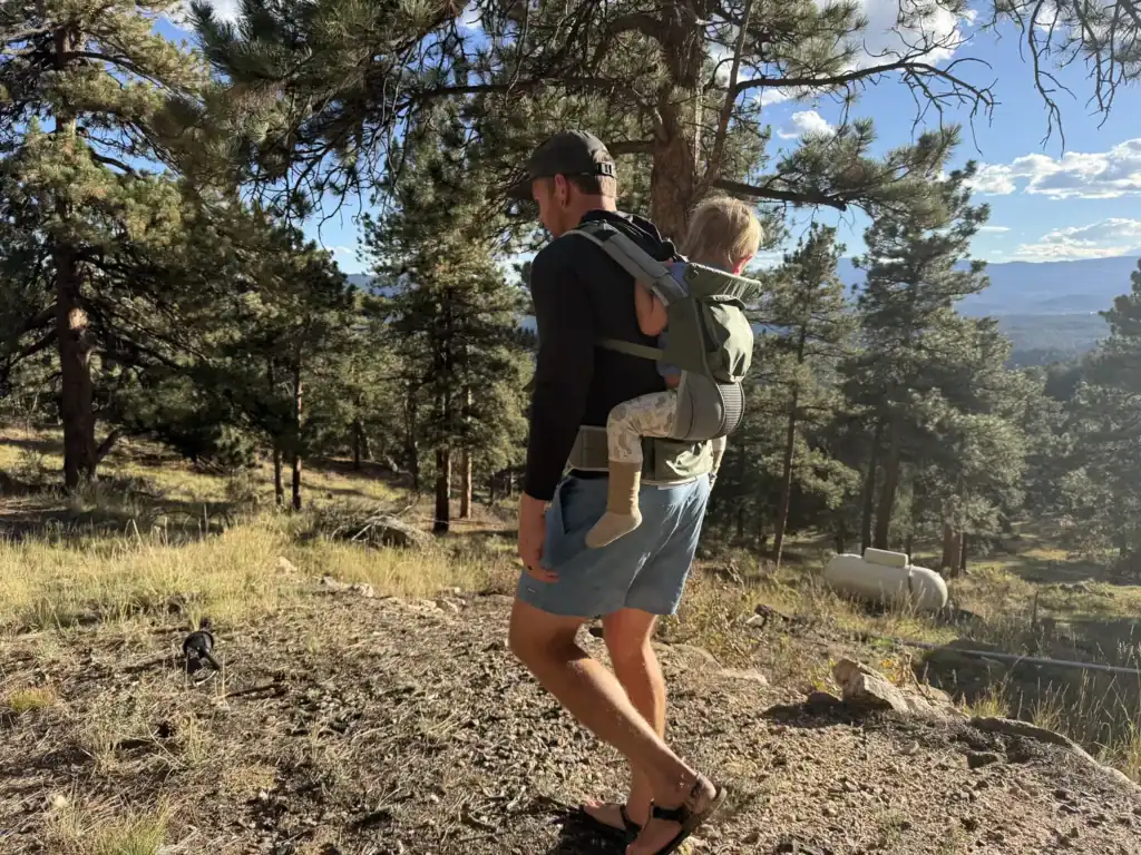 Dad walking through a sunny pine forest with a toddler in the Osprey Poco Soft child carrier