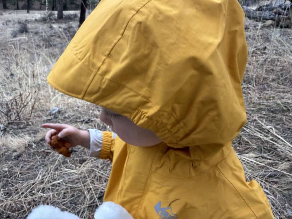Toddler in yellow REI Co-op Rainier Rain Jacket pointing at something in open field during outdoor testing