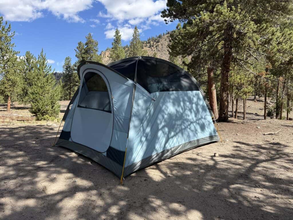 REI Co-op Westward 6 tent body without the rainfly under pine trees