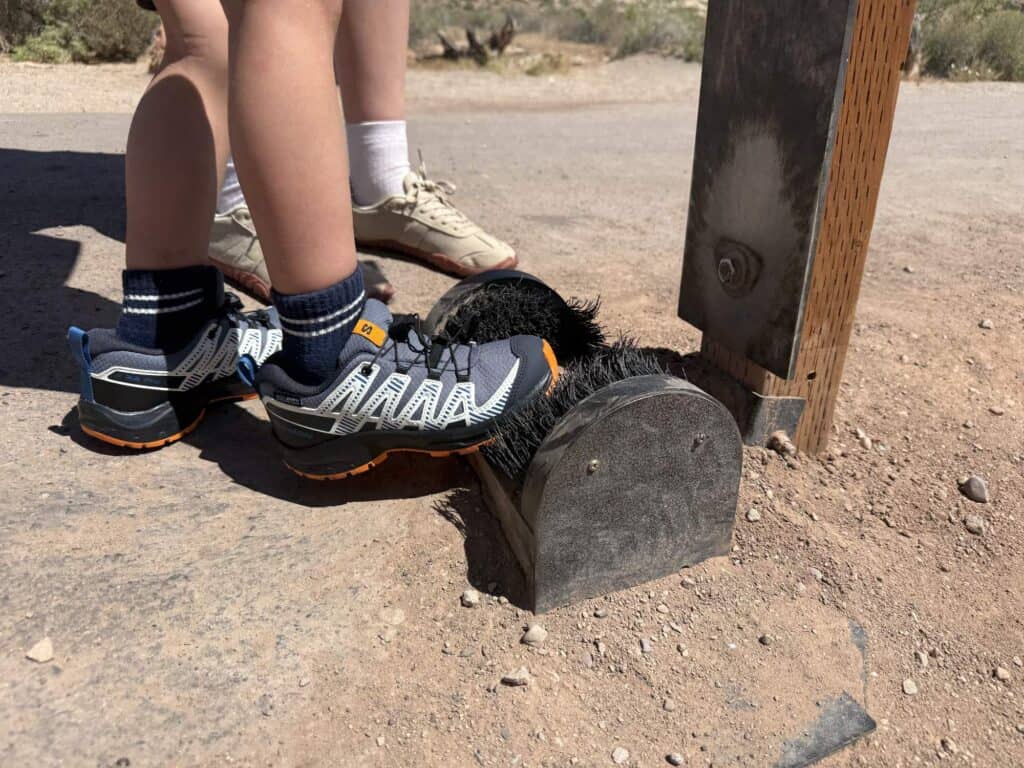 Salomon XA Pro V8 Waterproof kids shoes at a boot brush station at the Delicate Arch trailhead