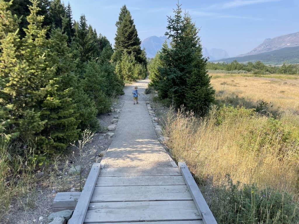 A toddler walking alone on a wooden boardwalk trail toward distant mountains